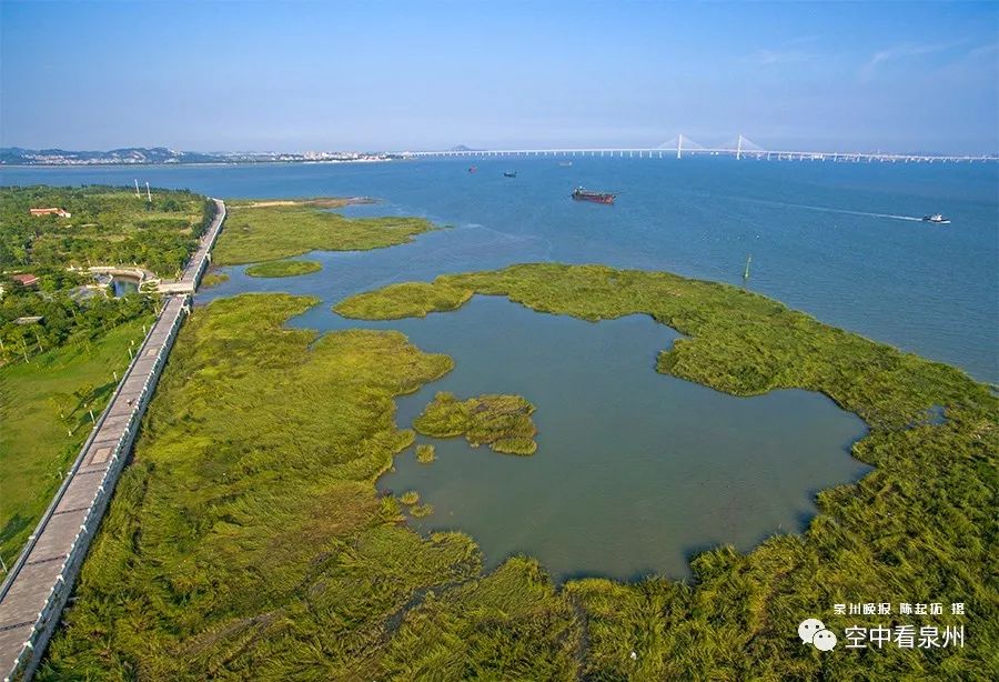 对不起，东海就是这么美