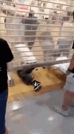 尺码都不看就疯抢，模特身上的扒走！今天一早，济南商场上演“疯抢大片”