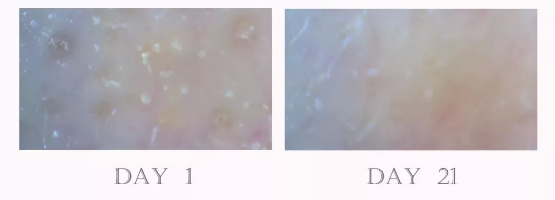 21天测评,21天真实测评