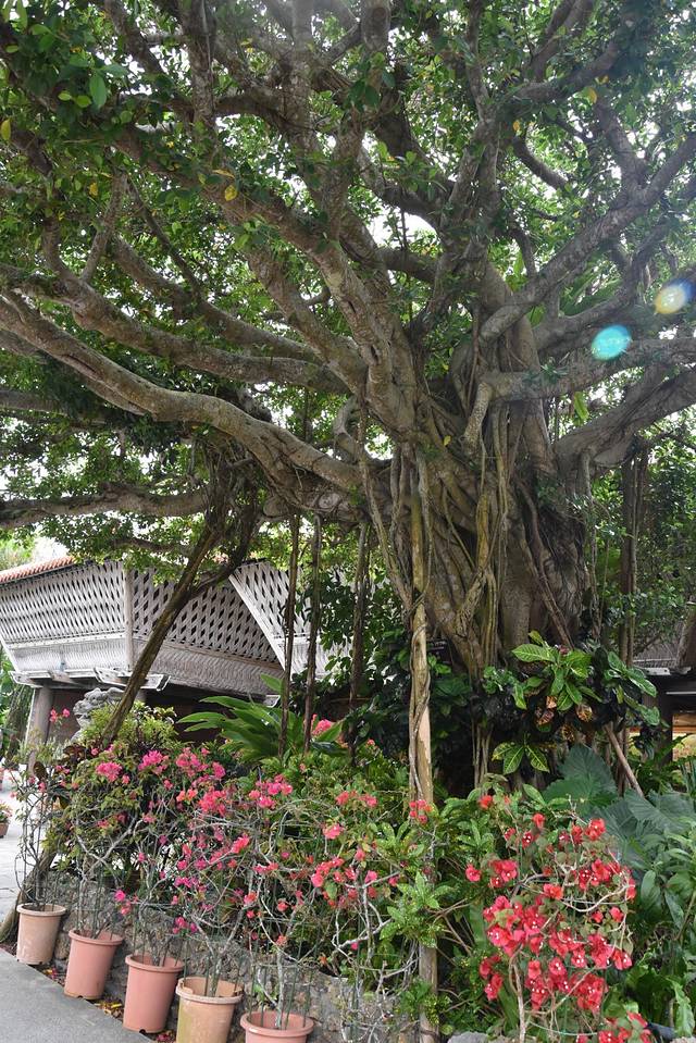 冲绳岛上的人间仙境,冲绳城市