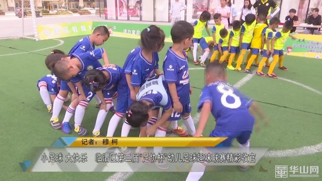 渭南市临渭区足协杯,临渭区滨河小学2022年足球联赛