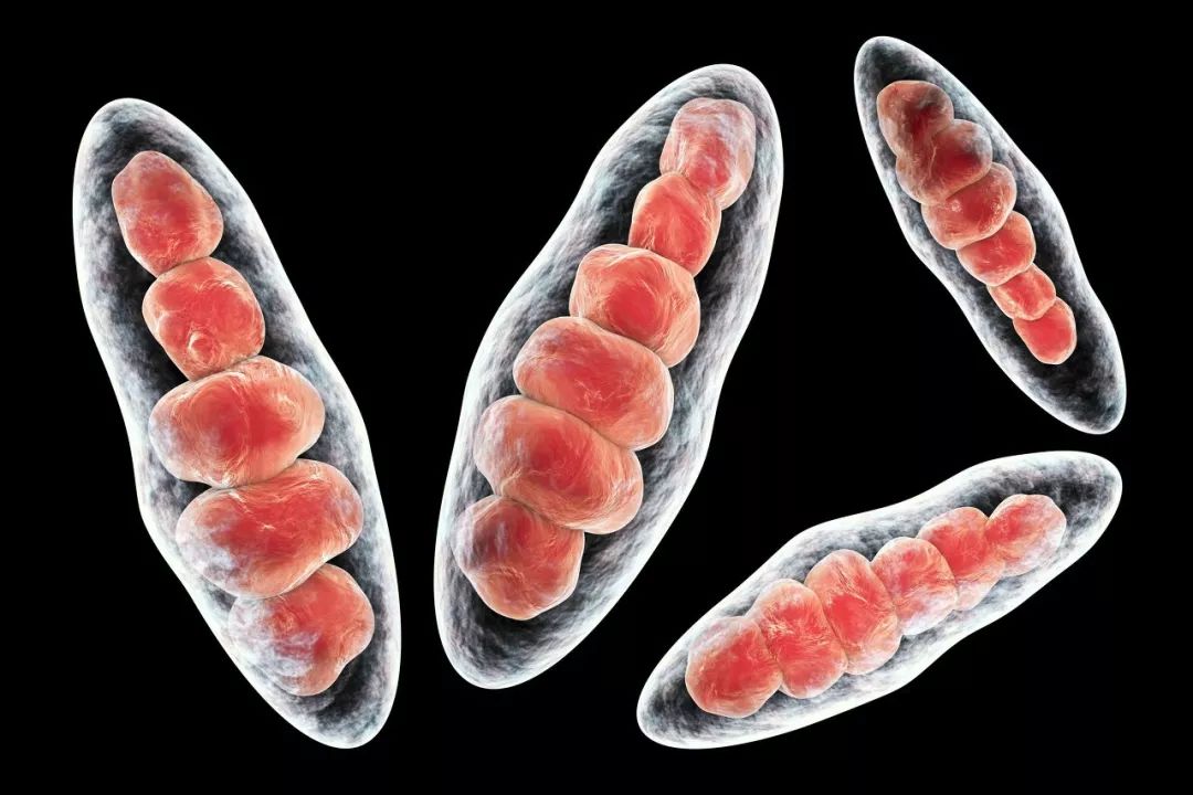 裤子袜子能放在一起吗,袜子裤头能一起在洗衣机洗吗