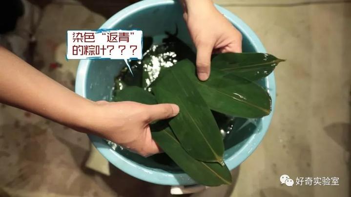 粽叶绿的有点蓝还很软正常吗,鲜绿的粽叶安全吗