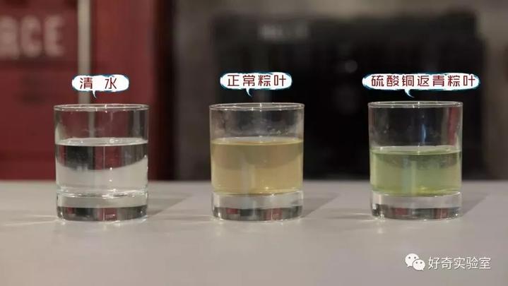 粽叶绿的有点蓝还很软正常吗,鲜绿的粽叶安全吗