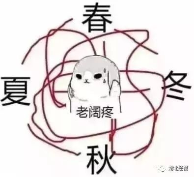 武汉种植牙齿需要多少钱,武汉种植牙齿一颗要多少钱