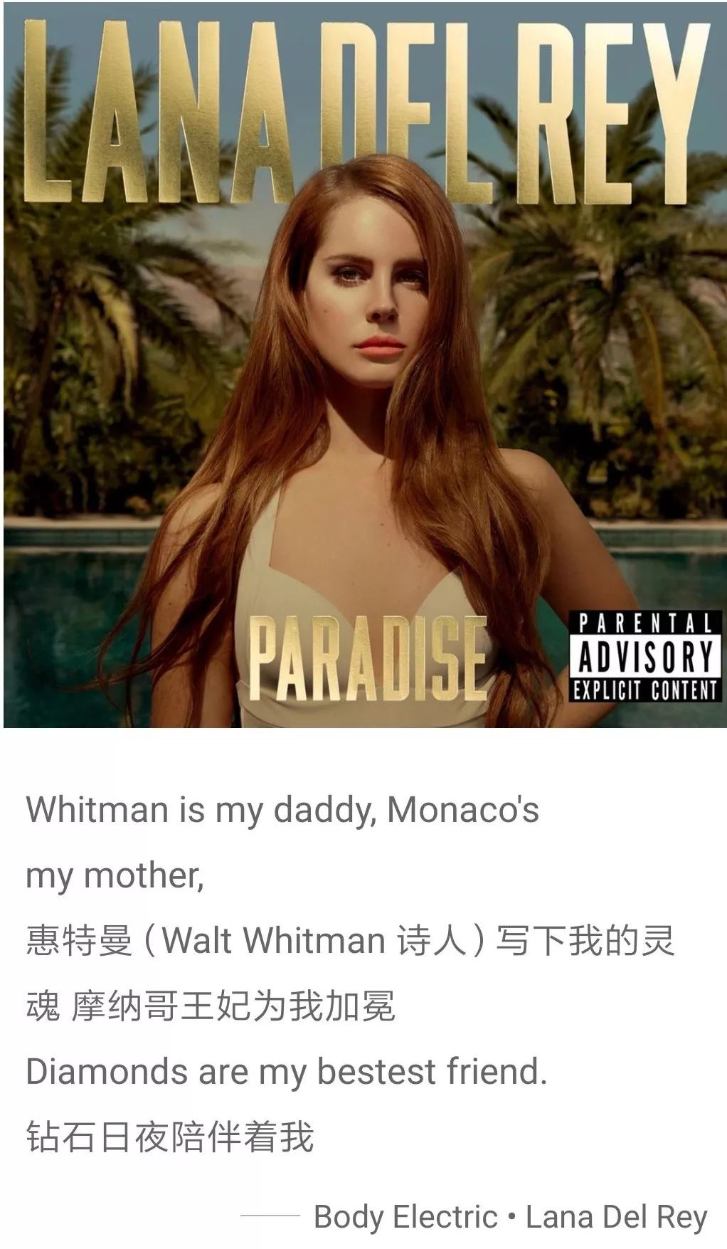 音乐和文学这对CP,我爱了