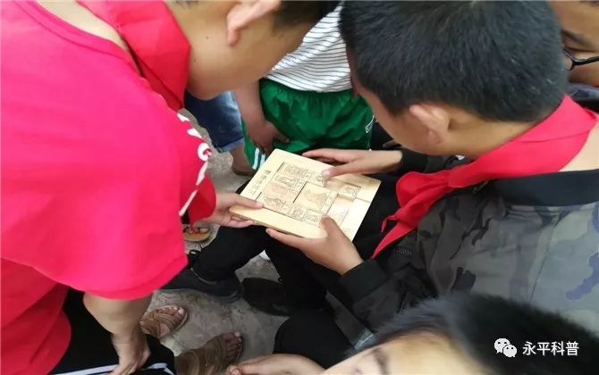 科普节日知识,永平科普