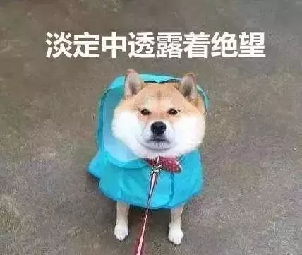 想破脑袋也想不出是咋回事,想破脑袋也没想明白怎么办