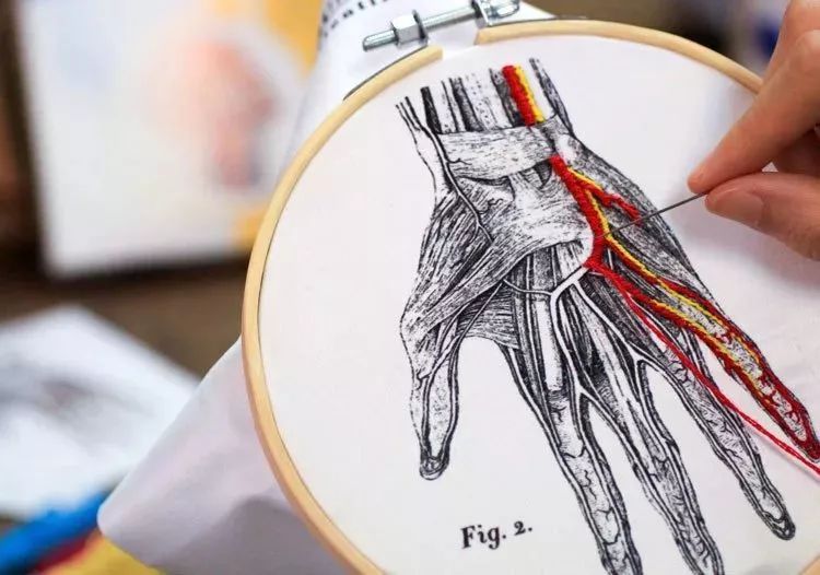 我就不信，只有我一个人想试试人体解剖丨好物推荐