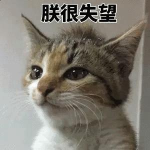 新年礼物送女友清单,新年礼物清单送女友