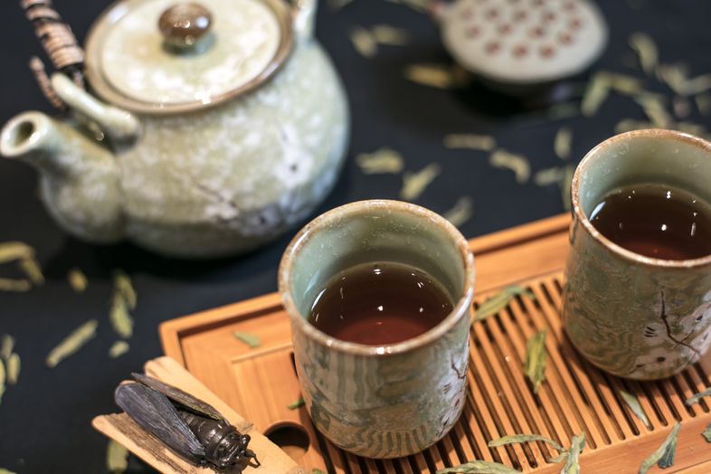 端午将至，解锁家庭出游新体验，与假日酒店一起尽享欢乐