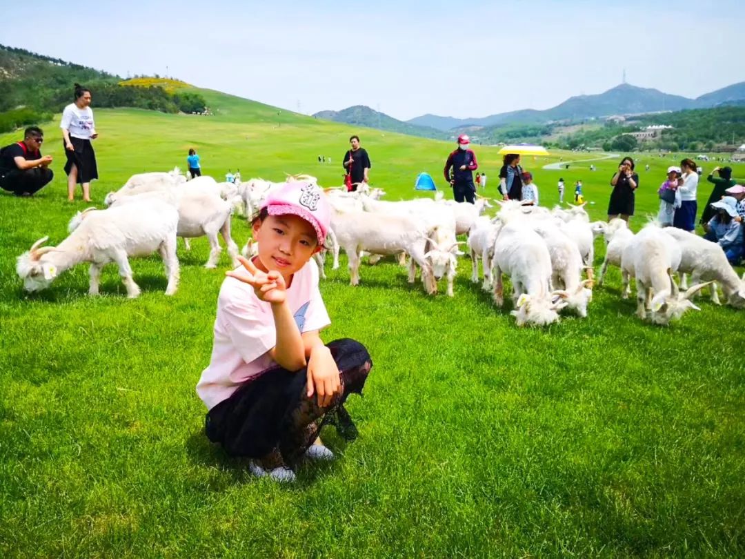 久等啦！看看有没有你家小宝贝的照片，六一大回顾，活动嗨翻天