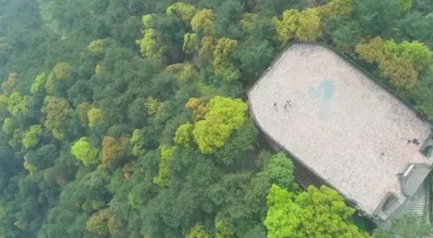 让全民健康动起来有什么办法,让全员动起来