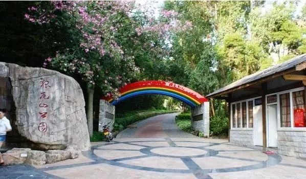 今年的杨梅哪里有采摘的,端午节摘杨梅的地方