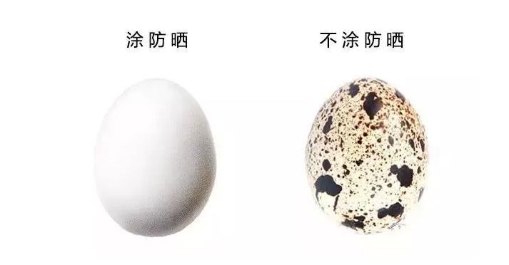 明星们都在用的平价防晒,平价好用又大瓶的防晒