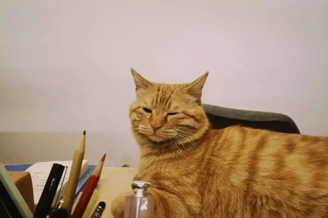 该以怎样的表情,面对周一?|一周新书