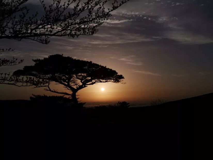 网红绝美拍照地打卡,网红打卡圣地取景图