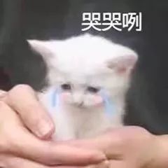 直男喜欢上les是种什么体验？