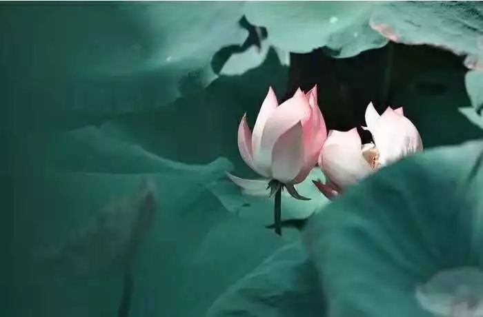 中医养生音乐十大名曲,中医五行养生音乐曲目