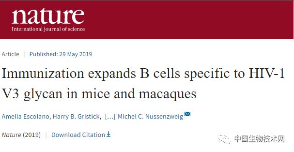 免疫扩增靶向识别HIV-1壳膜蛋白结构上的V3-聚糖补丁的特异性B细胞的新型免疫原