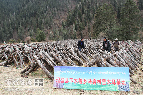 回乡创业带领乡亲致富的故事,创业失败3次继续创业