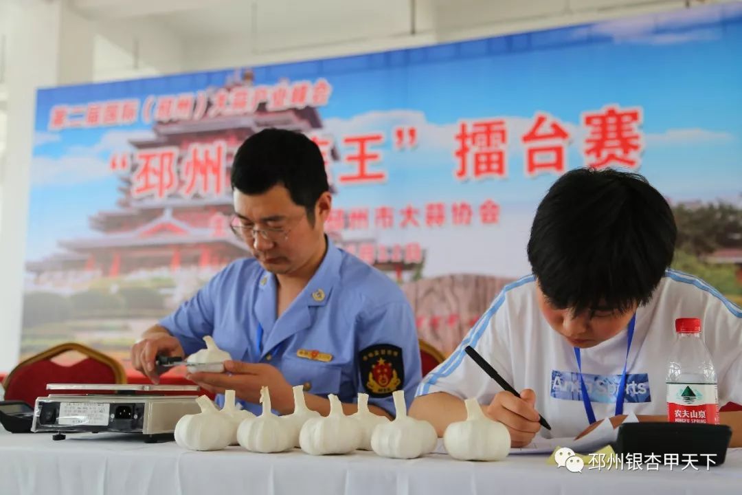 擂台争霸！邳州“白蒜王”是这样炼成的