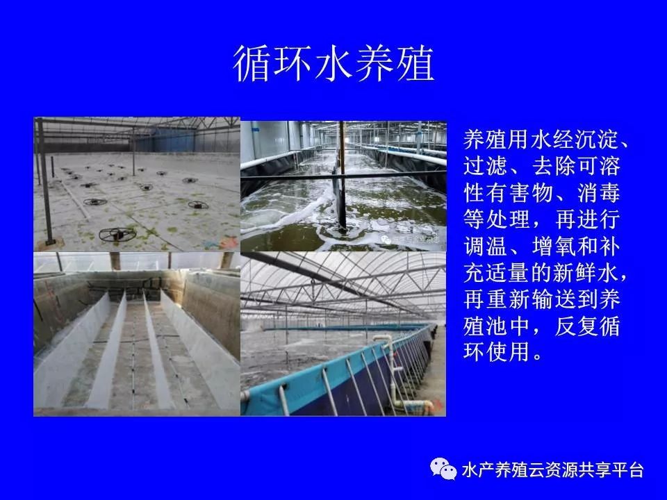 工厂化养殖南美白对虾技术详解,工厂化南美白对虾养殖全过程