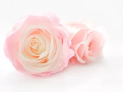 我们是冠军女生翻唱,我们是冠军长春亚泰