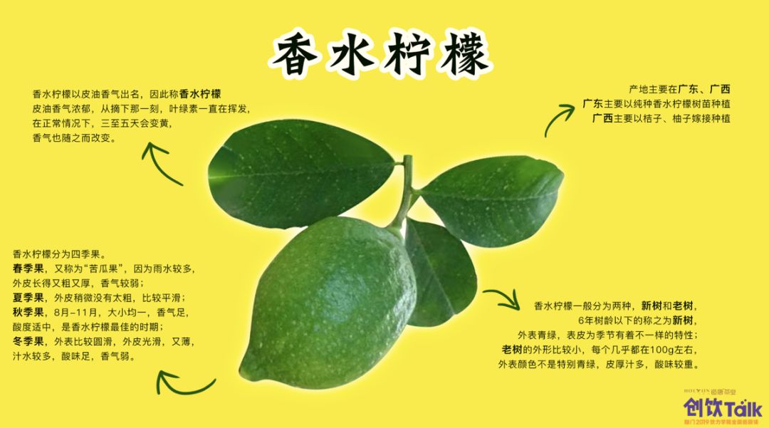 近期火爆饮品柠檬茶是什么,柠檬茶饮料哪几款最火爆