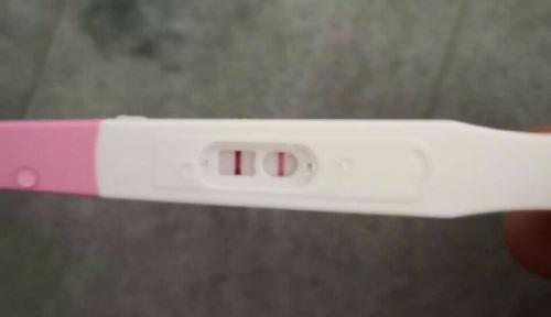 分享备孕心得:萝卜排卵半定量排卵试纸测量更准确