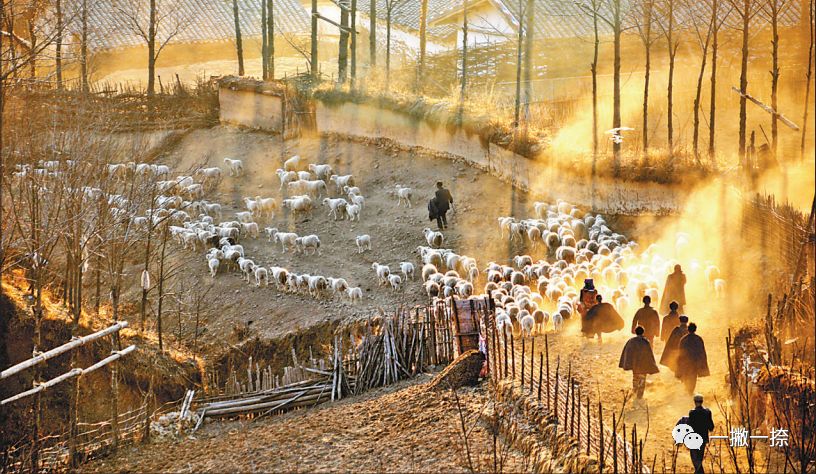 人民日报年度最佳照片,人民日报推荐的好照片