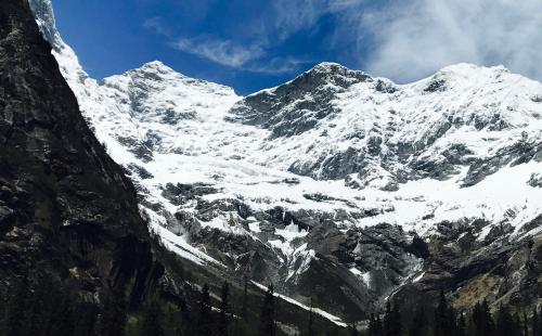 71年属猪射手座女2022年运势,属猪的射手座本月运势如何