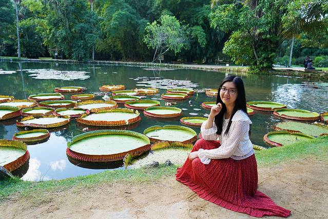 巴西是怎么成为足球王国的,巴西足球王国