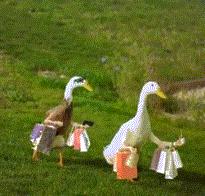 找到源头了！中国游客和代购原来是在这家日本药妆店里扫货到半夜