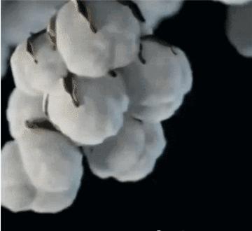 女性裤子裆部有异味怎么办,无痕裤内裆