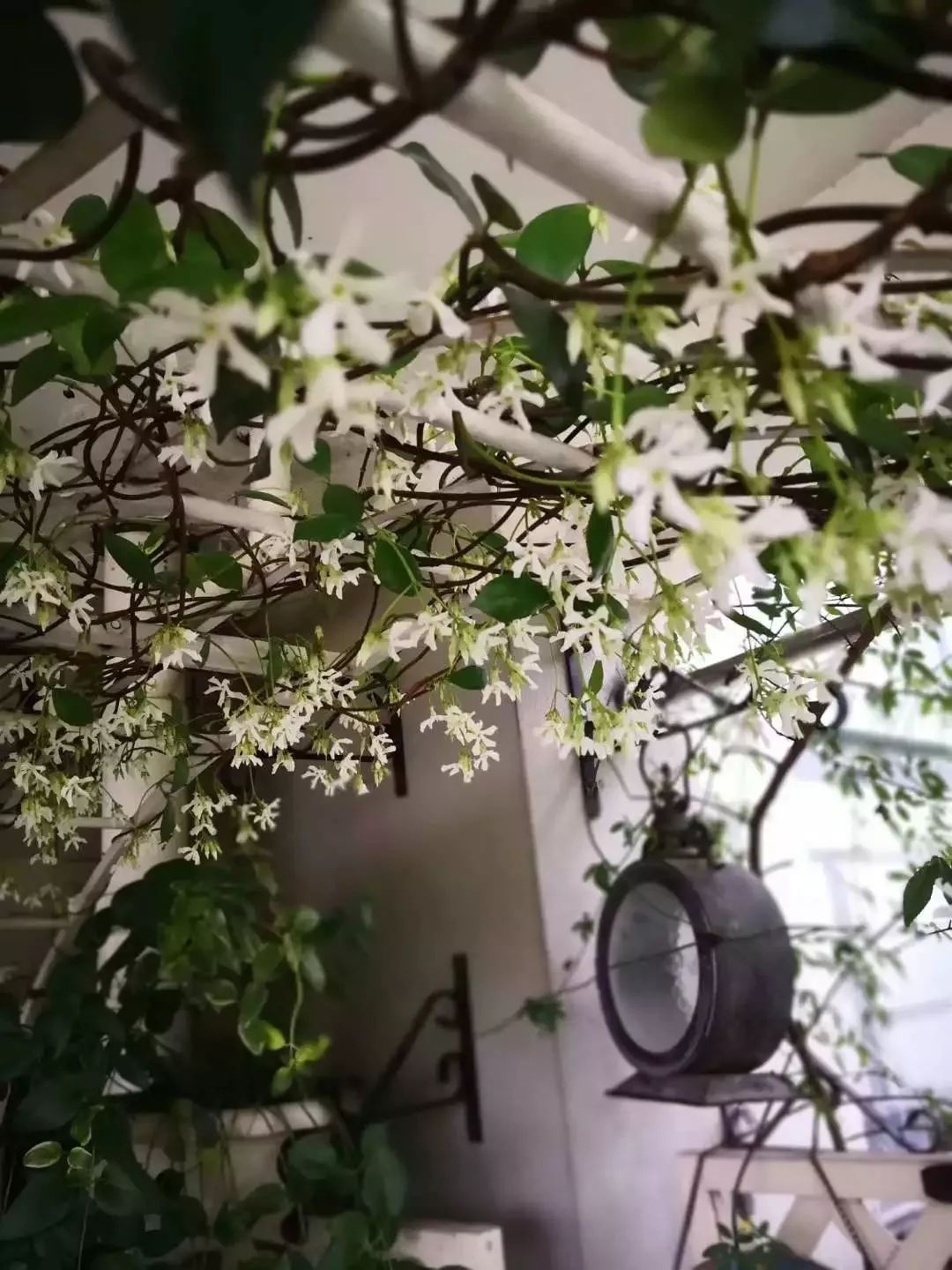 打造美好幸福的家,打造一片天地