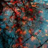 苏州高新股吧,苏州高新股票