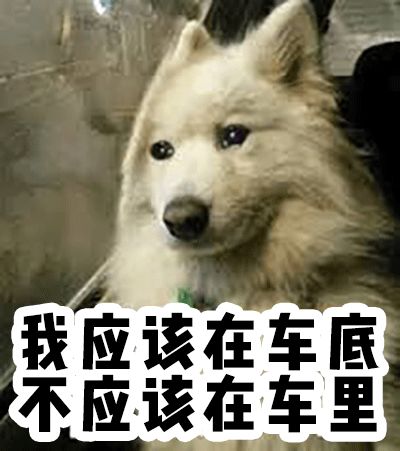 618钱包测评,618钱包预售攻略