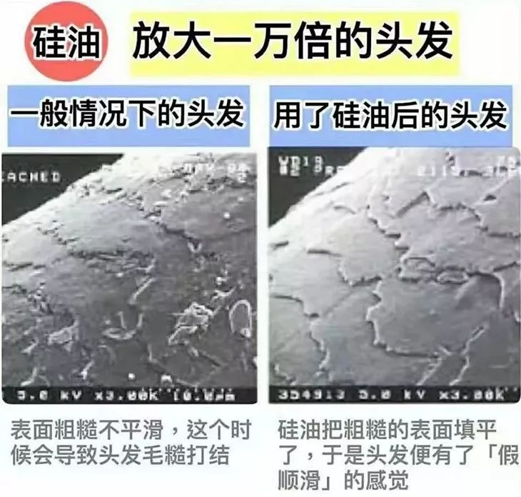 你的头发一天一次还长吗,你的头发那么长不会掉下来吗