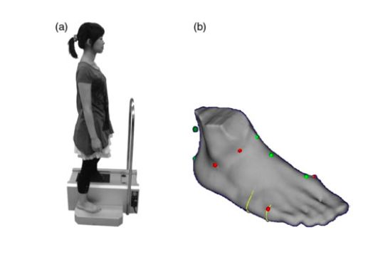 自己的脚是罗马脚还是埃及脚,罗马脚埃及脚希腊脚的区别