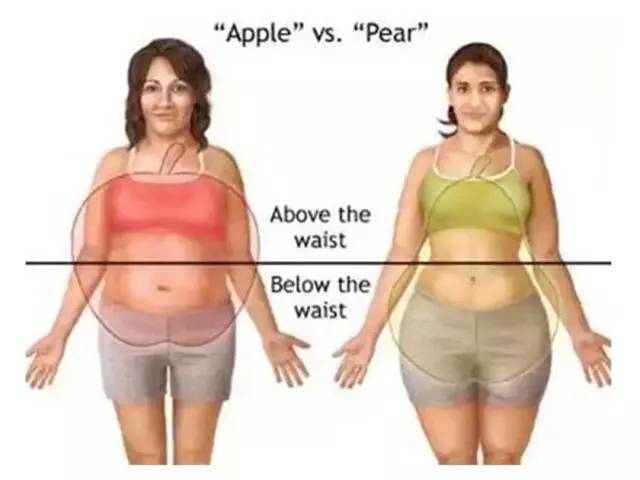 网红小花完整视频,网红小花的视频