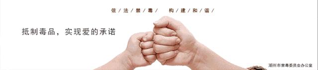 6月光影,六月湖州景色