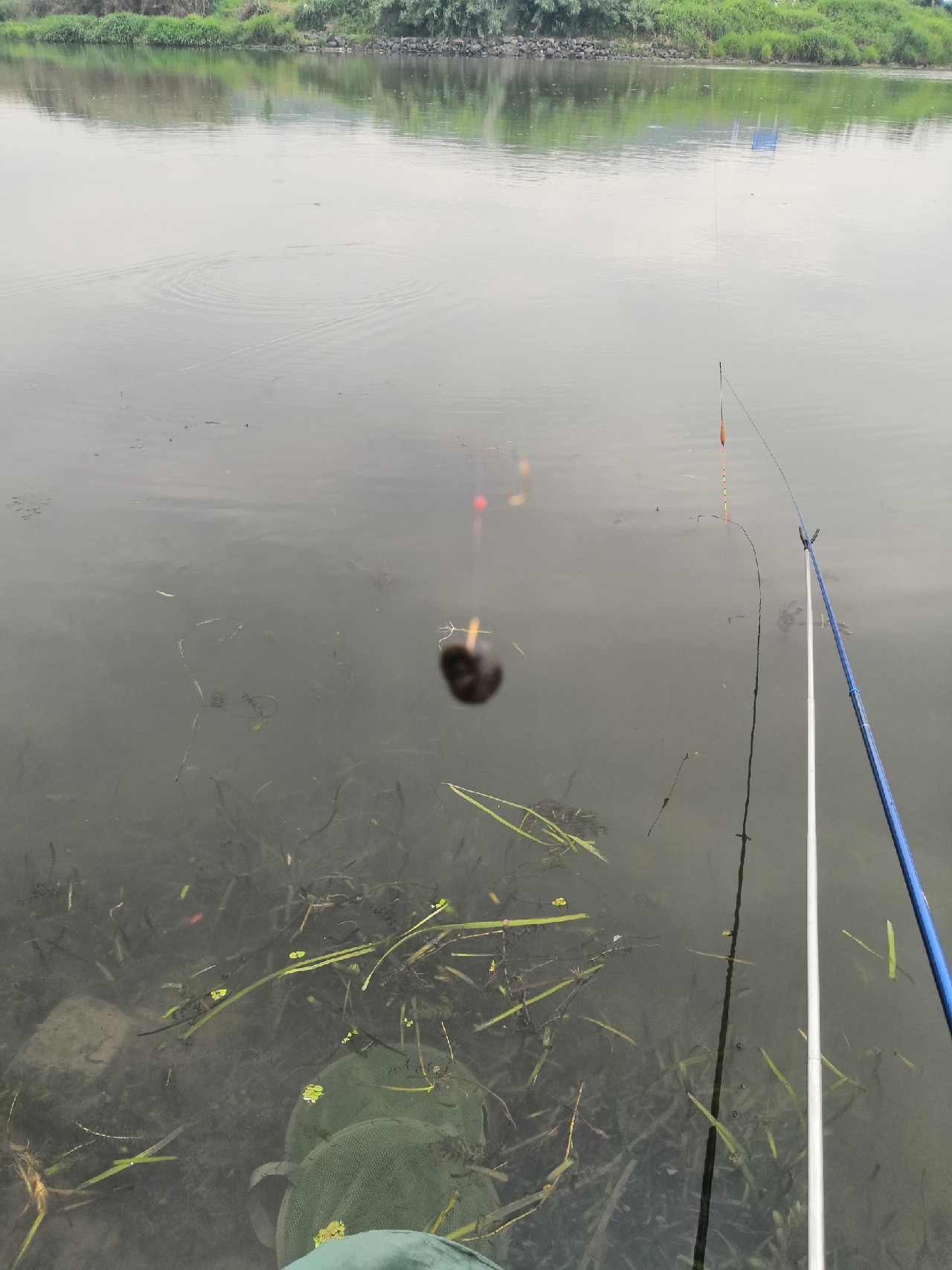 首钓笤溪钓位全靠枪逛拉逆鱼兼钓获多鱼种~