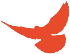 航天八院八所和802所哪个好,中国航天科技集团九院771所