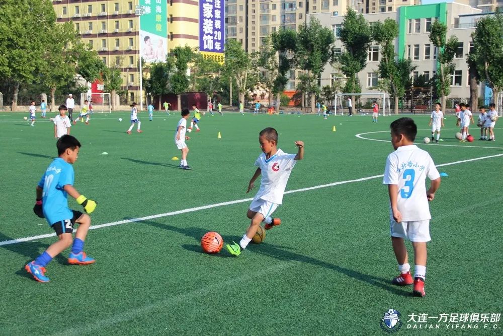 蓝队青训国青,中国青训与国外青训