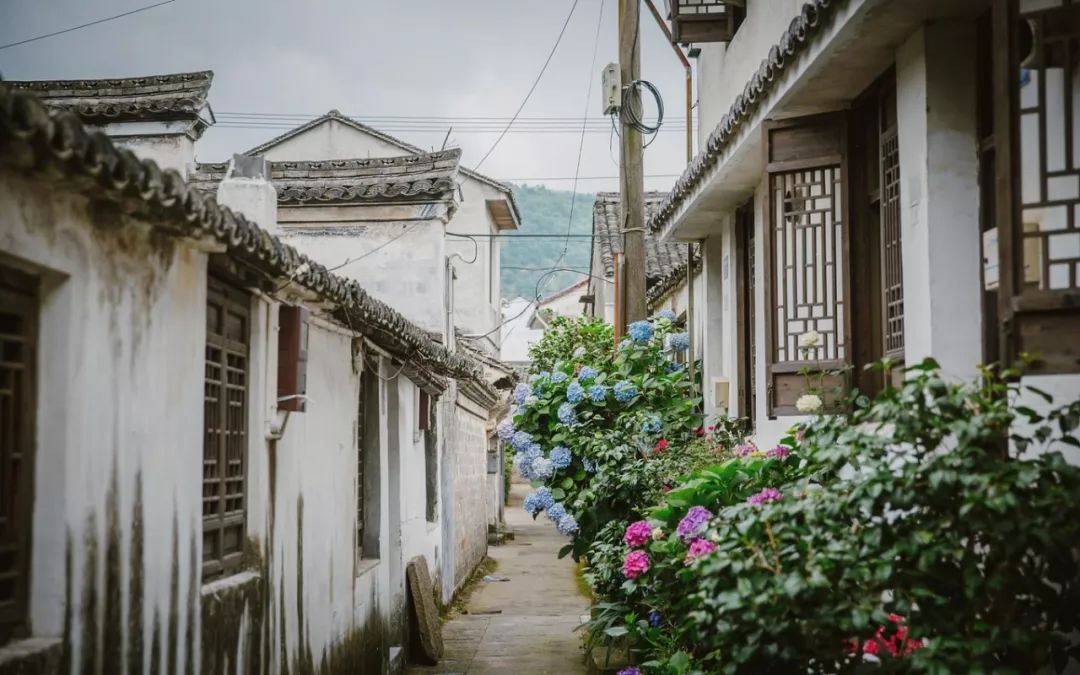 这座跟着周杰伦空降热搜的杨梅味小城,休渔期也能让你吃得满嘴鲜