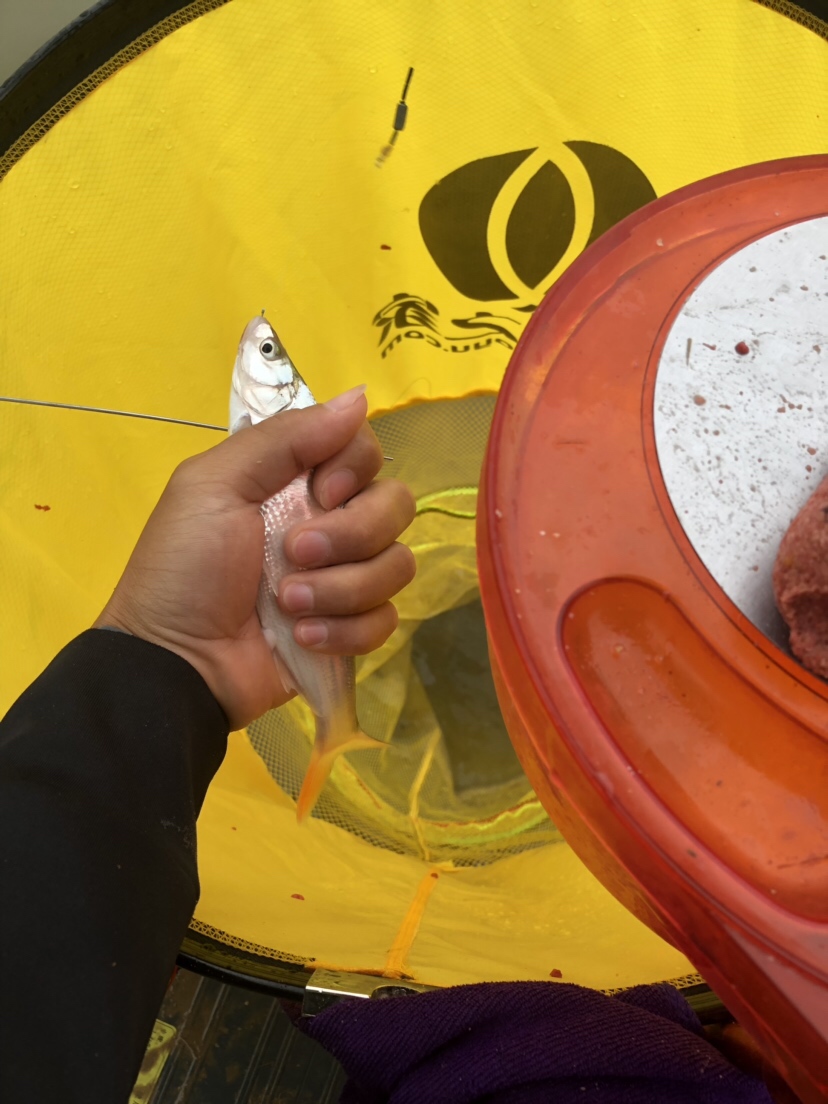 初春河流大水面野钓,大水面滑漂野钓
