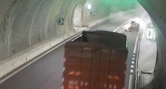 温州开车违章扣分吗,温州市新手驾驶证扣分有什么影响