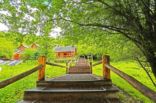 限时抢购||399元抢白马王朗酒店2大1小套票