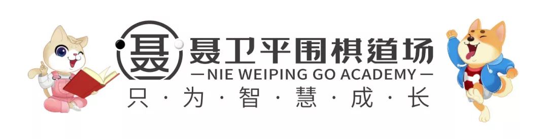 聂卫平围棋官网2021冬令营,聂卫平围棋道场夏令营招生简章